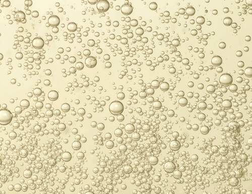 Sparkling Wine 101