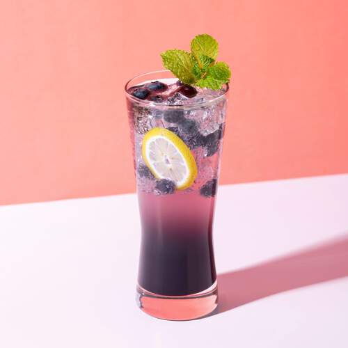 BLUEBERRY CITRUS SPLASH