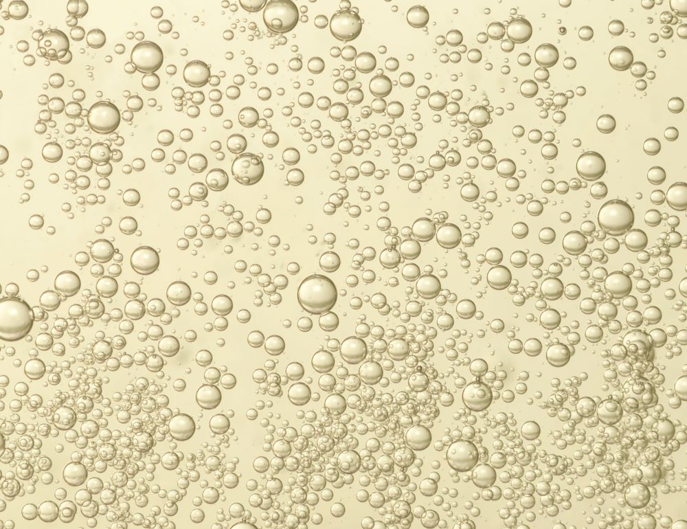 Sparkling Wine 101