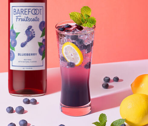 Blueberry Citrus Splash Cocktail Recipe